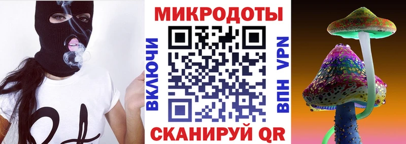 как найти   Суворов  Псилоцибиновые грибы Cubensis 