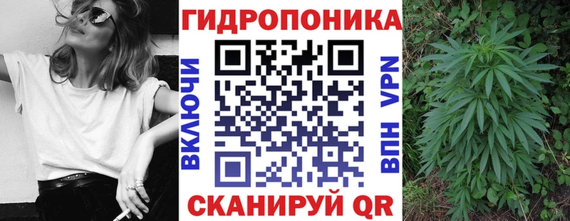 купить наркотик Суворов Бошки Шишки Ganja